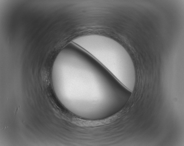 X0000084020031200702160838