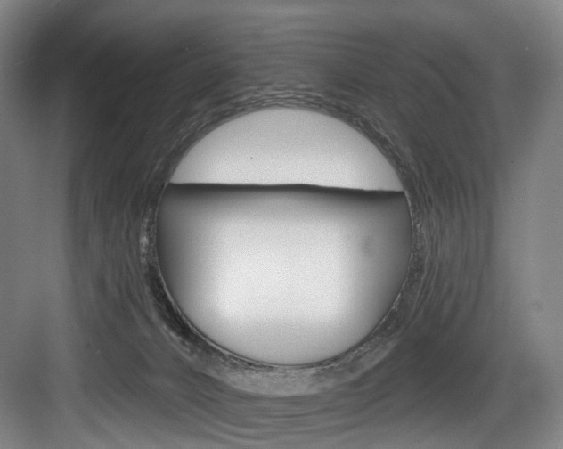 X0000084020032200702160838