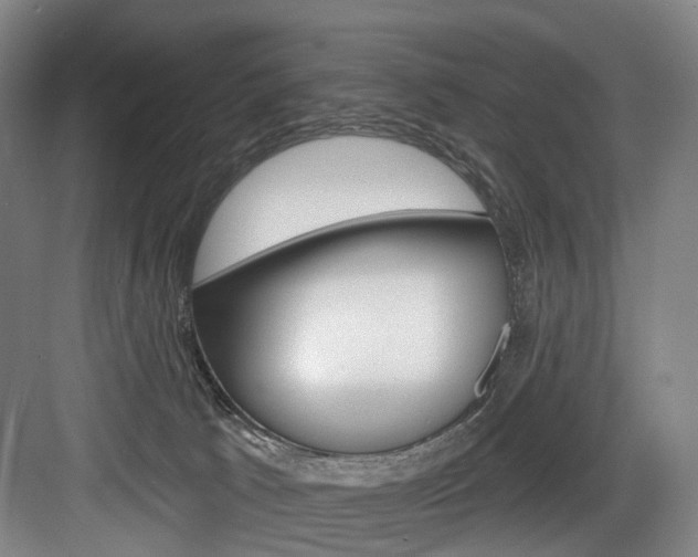 X0000084020033200702160838