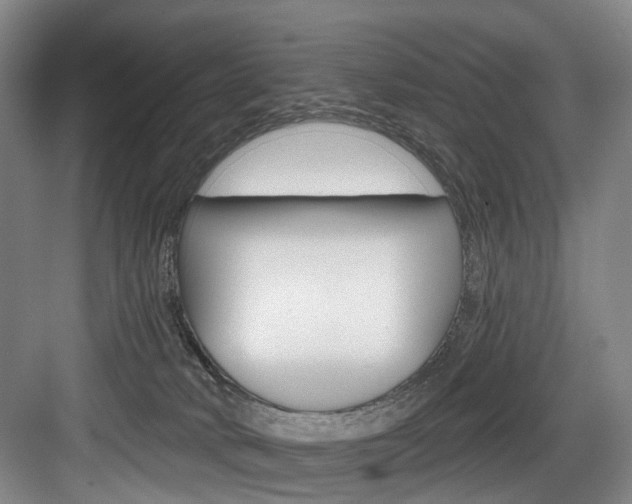 X0000084020034200702160838