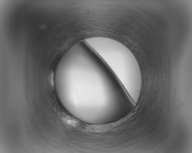 X0000084020041200702160838