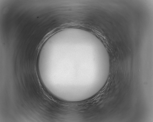 X0000084020051200702160837