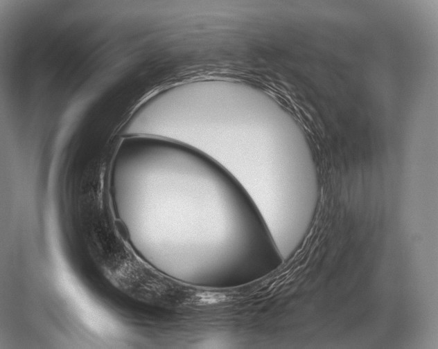 X0000084020052200702160837