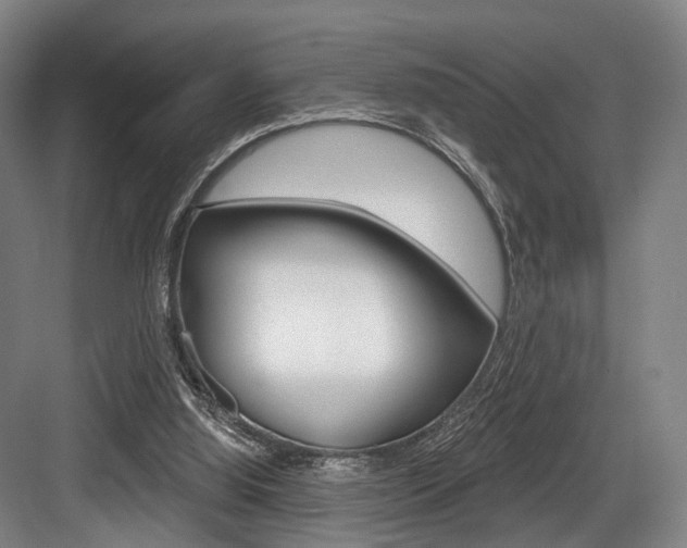 X0000084020060200702160837