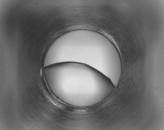 X0000084020061200702160837