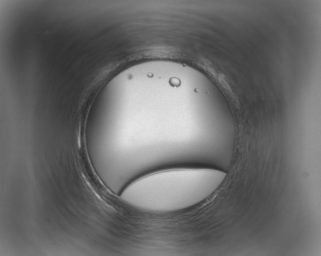 X0000084020062200702160837