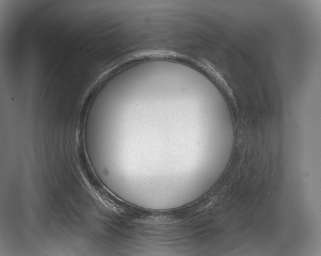 X0000084020063200702160837