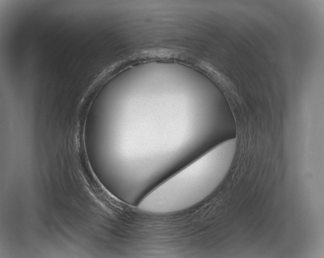 X0000084020064200702160837