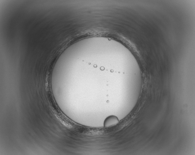 X0000084020065200702160837