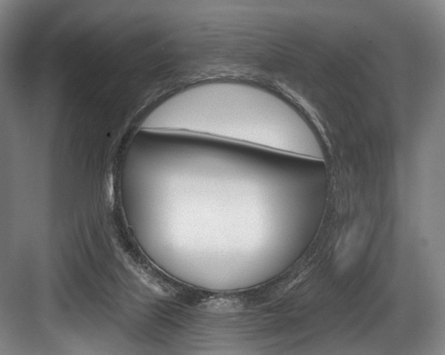 X0000084020067200702160837