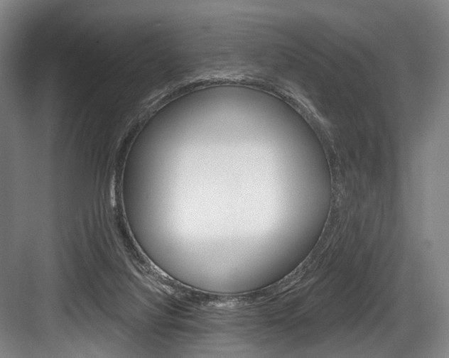 X0000084020068200702160837