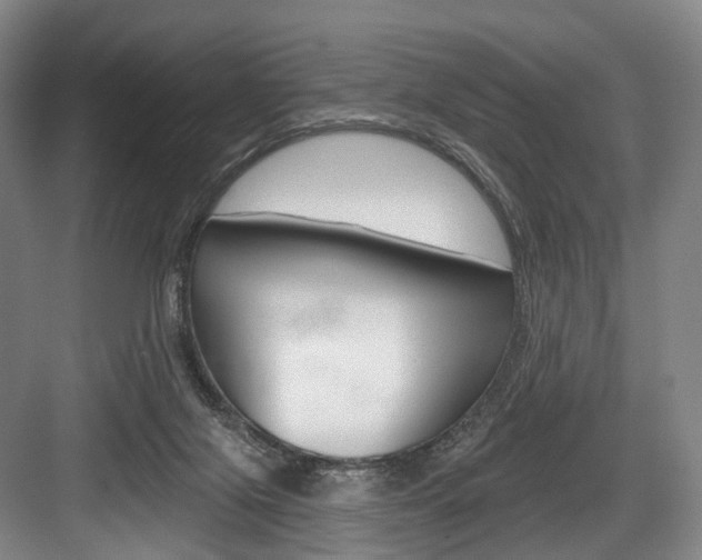 X0000084020071200702160837