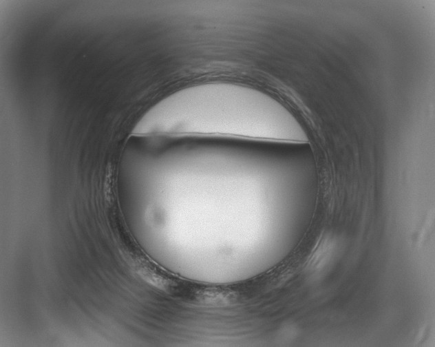 X0000084020073200702160837