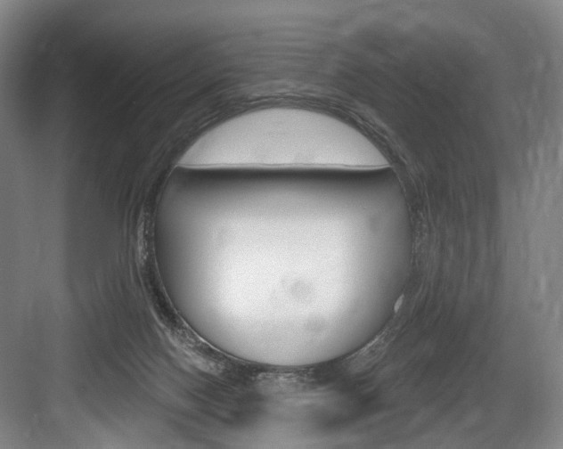 X0000084020074200702160837