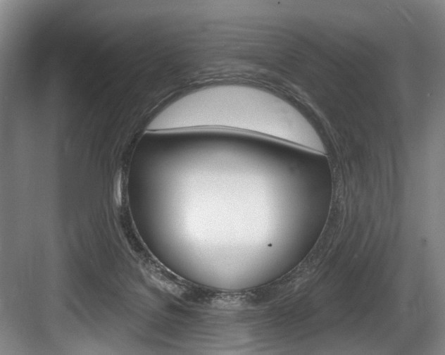 X0000084020076200702160837