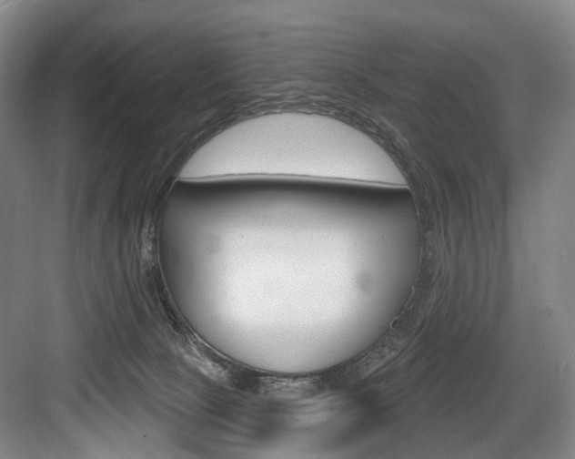 X0000084020081200702160837