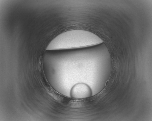 X0000084020082200702160837