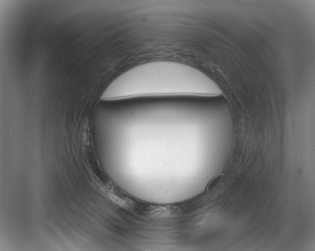 X0000084020083200702160837