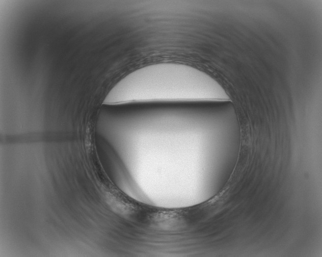 X0000084020086200702160837