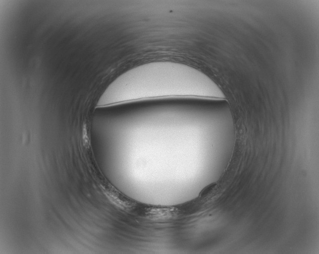 X0000084020089200702160837