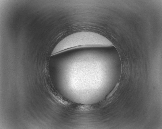 X0000084020092200702160838