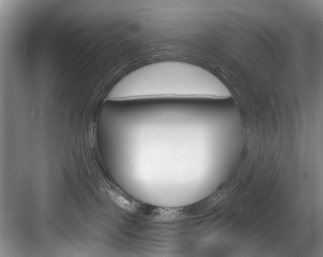 X0000084020093200702160838