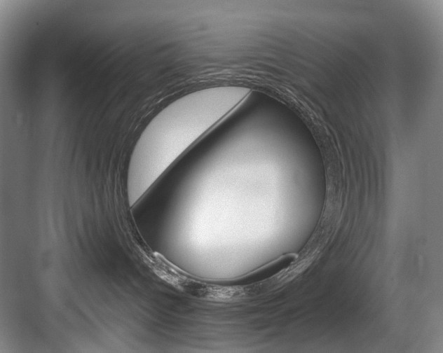 X0000084020096200702160838