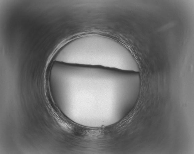 X0000084020102200702160837