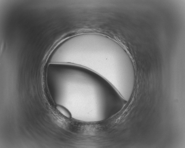 X0000084020103200702160837