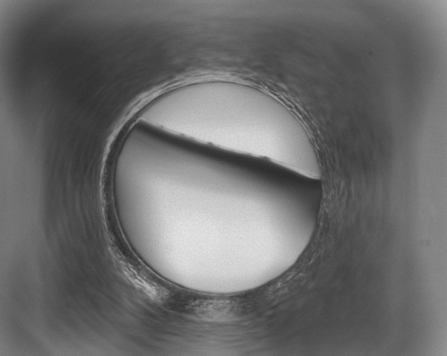 X0000084020104200702160837