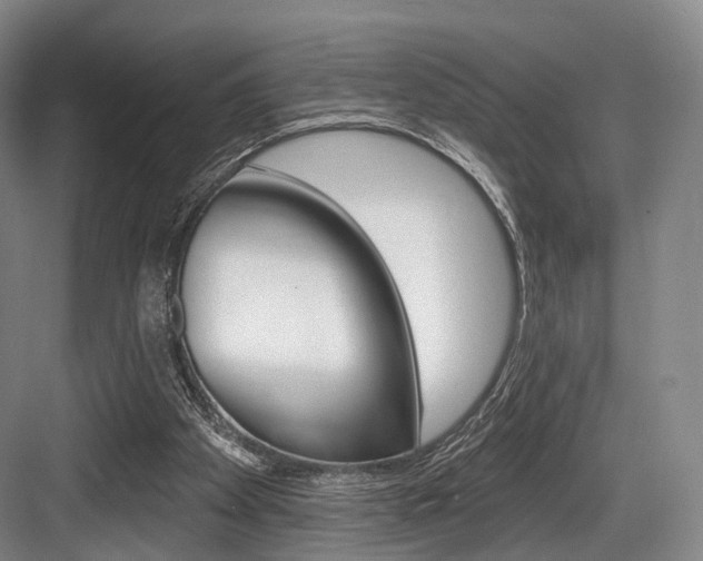 X0000084020105200702160837