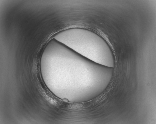 X0000084020106200702160837