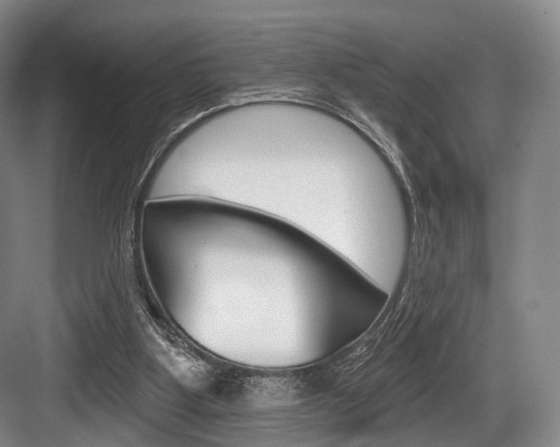 X0000084020107200702160837