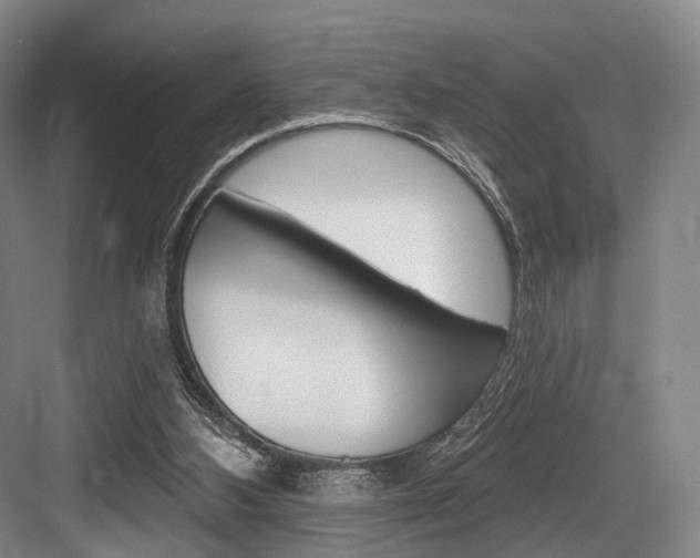 X0000084020108200702160837