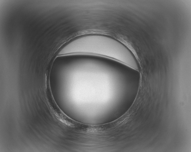 X0000084020109200702160837