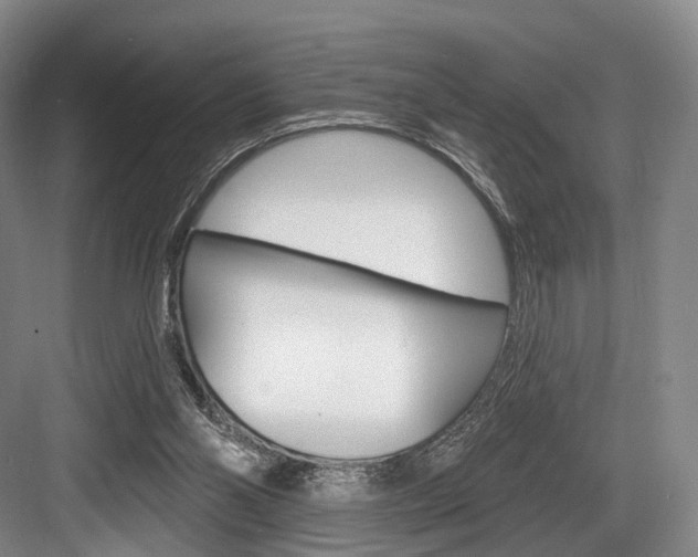 X0000084020110200702160837