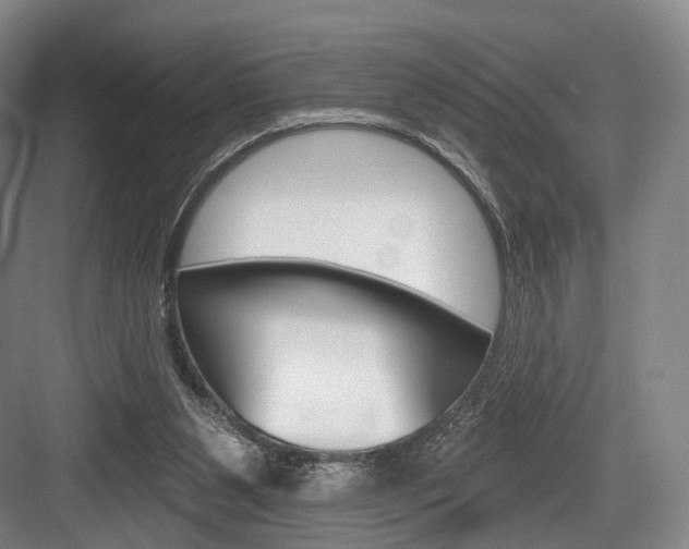 X0000084020111200702160837