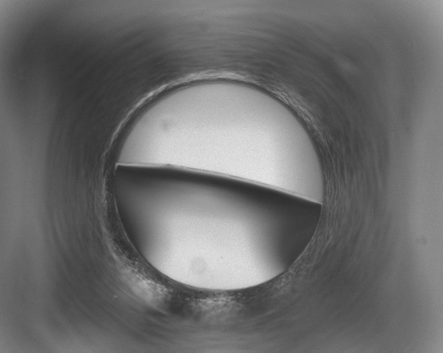 X0000084020112200702160837