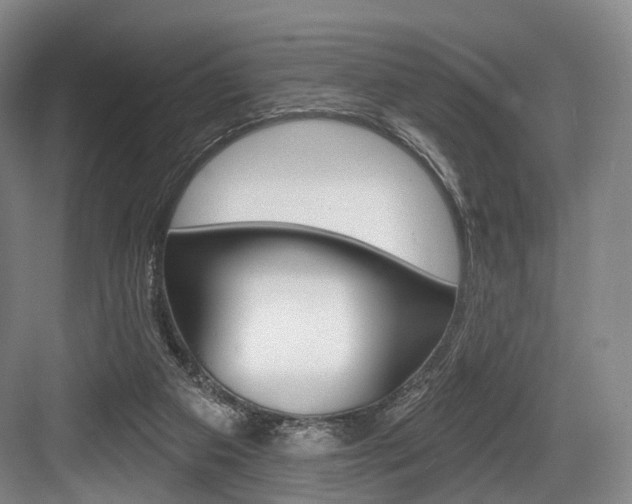 X0000084020113200702160837