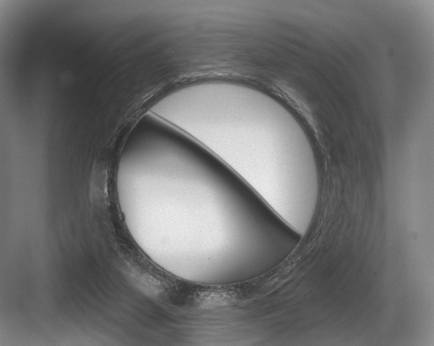 X0000084020115200702160837
