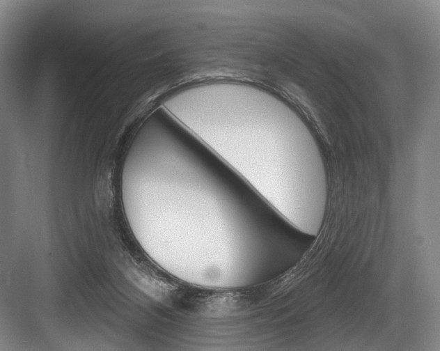 X0000084020116200702160836