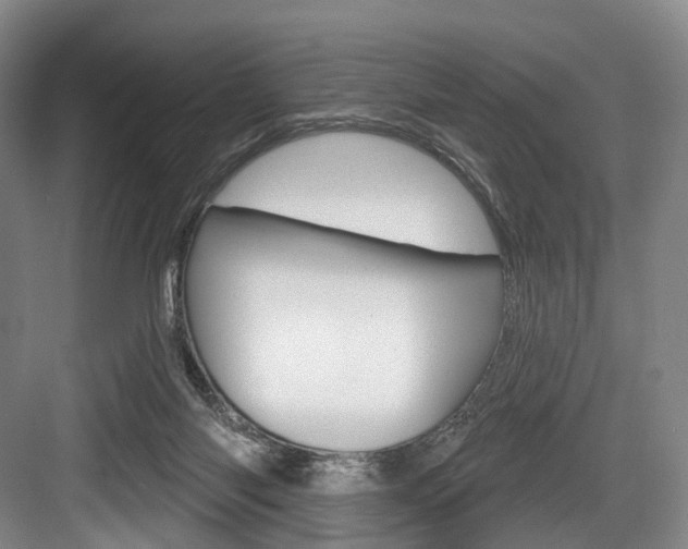 X0000084020118200702160836