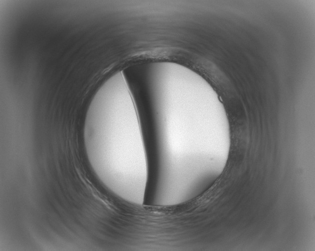 X0000084020120200702160836