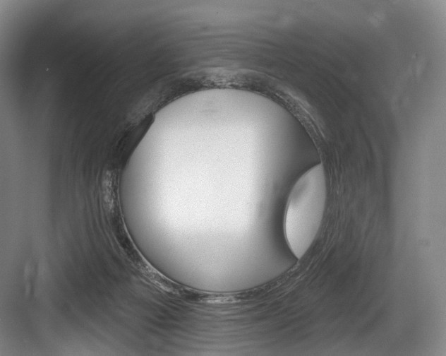 X0000084020121200702160836