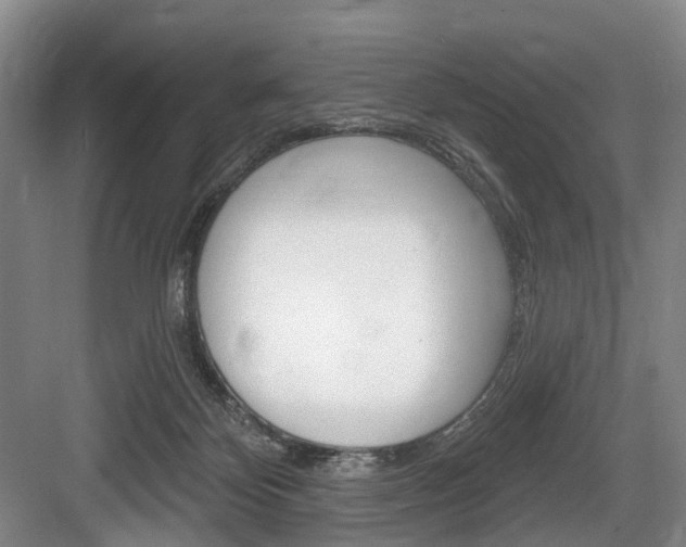X0000084020124200702160836