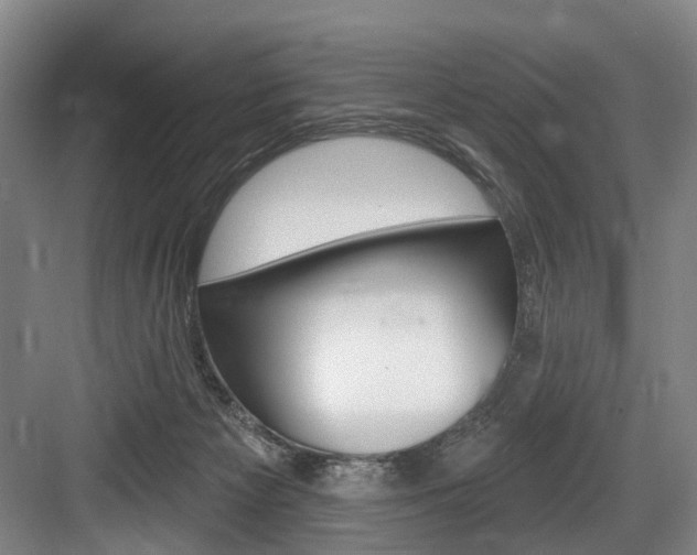 X0000084020125200702160836