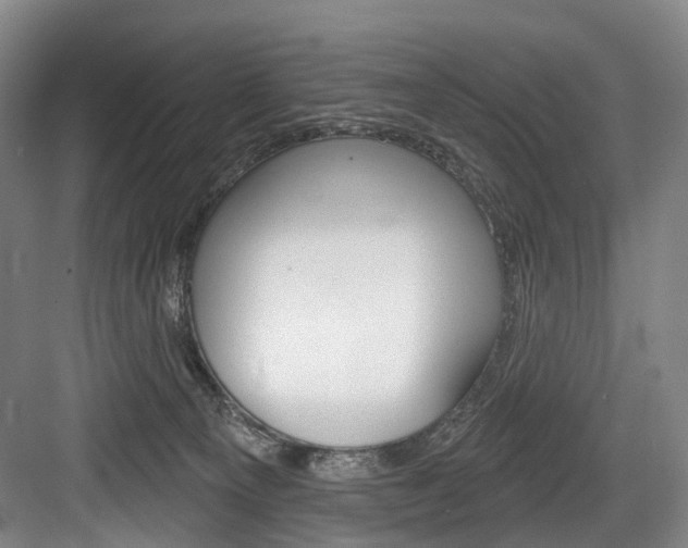 X0000084020129200702160836