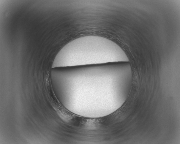 X0000084020130200702160836