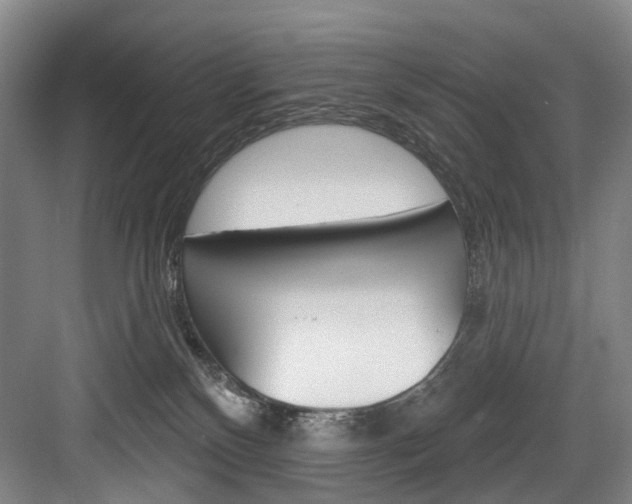 X0000084020136200702160836