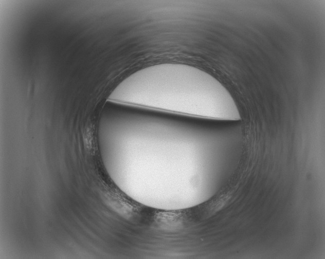X0000084020139200702160836